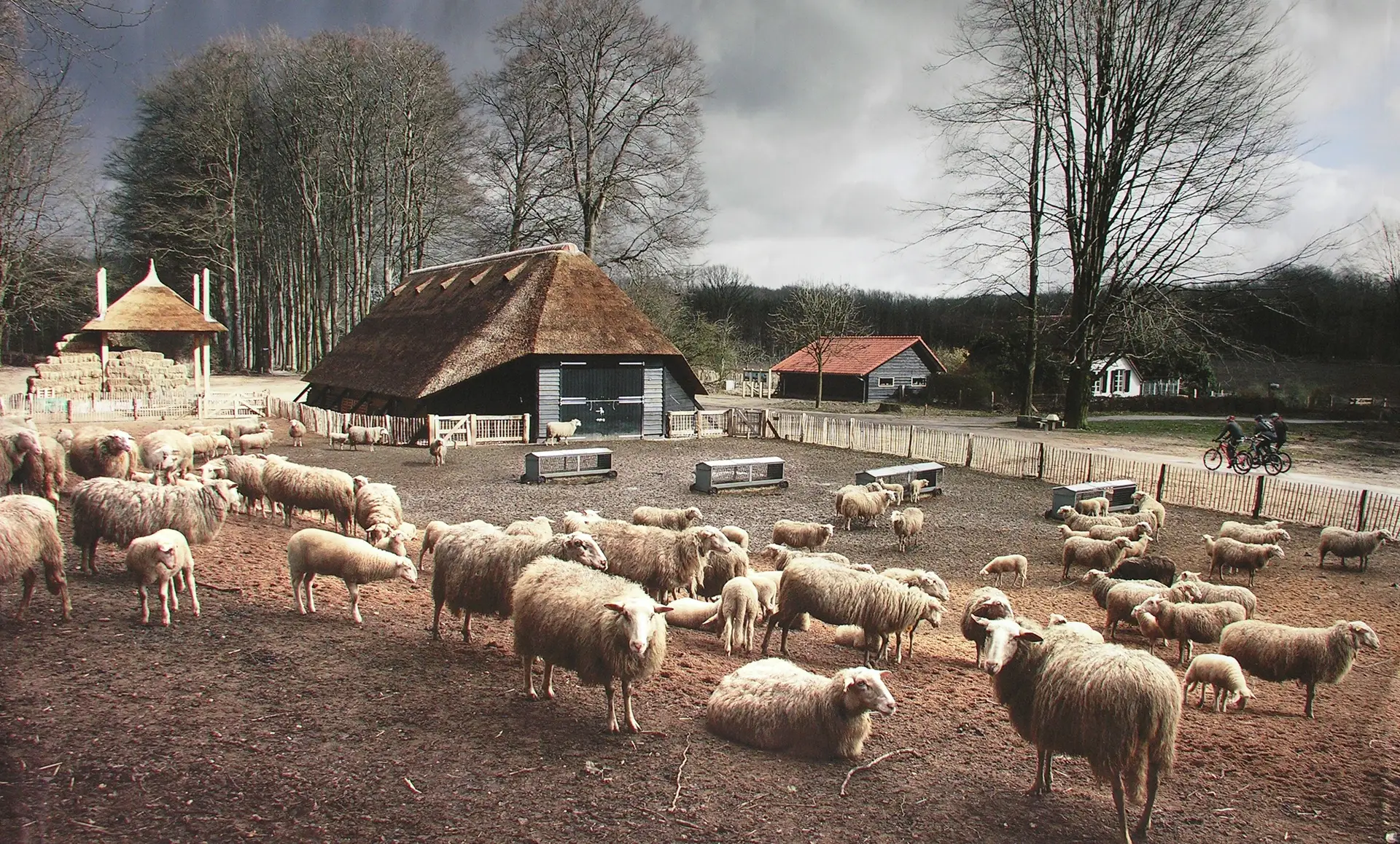 Schaapskooi Hoog-Buurlo